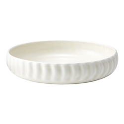 Ecology Ritual Dinner Bowl 22cm Frost