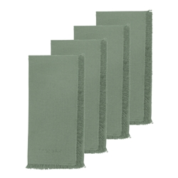Ecology Fray Set of 4 Napkins Midday 