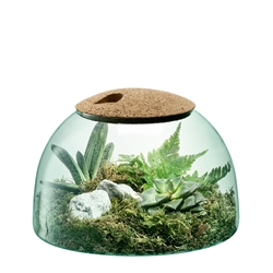 Canopy Closed Garden H16.5cm