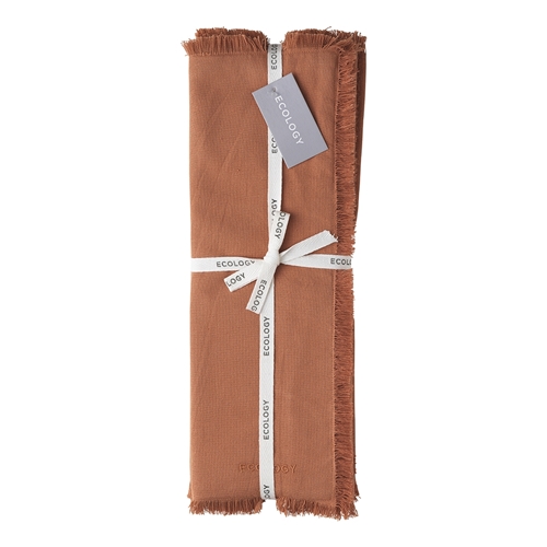 Ecology Fray Set of 4 Placemats Clay