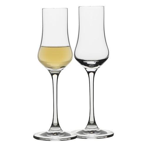 Ecology Classic Set of 4 Grappa Glasses 80ml