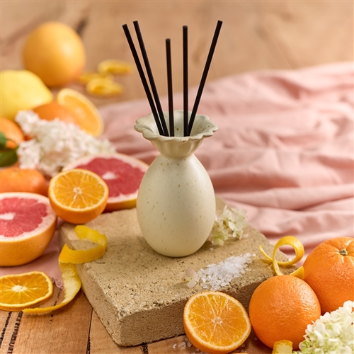 Ecology Alchemy Diffuser 200ml Autumn Sun