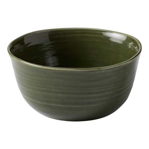 Ecology Ottawa Laksa Bowl 20cm Moss