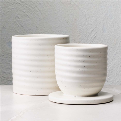 Ecology Ottawa Butter Keeper Calico