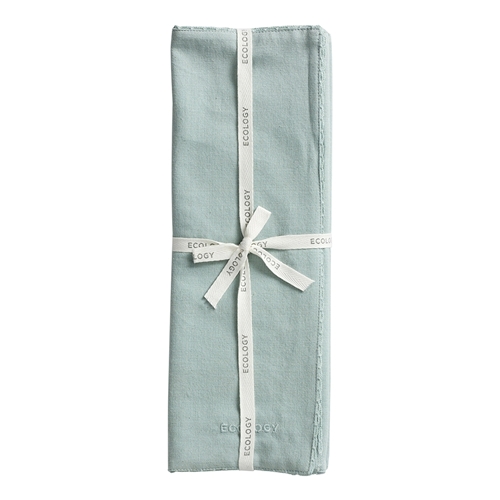 Ecology Weft Set of 4 Placemats Celadon