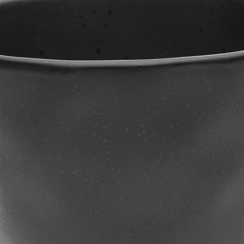 Ecology Speckle Mug Ebony
