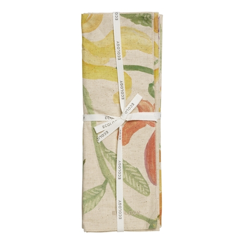 Ecology Midsummer Set of 4 Placemats 