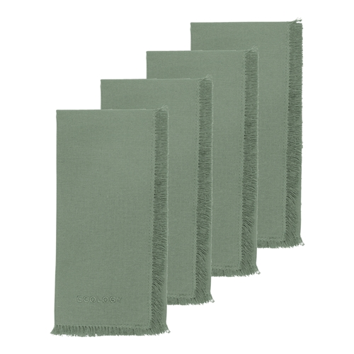 Ecology Fray Set of 4 Napkins Midday 