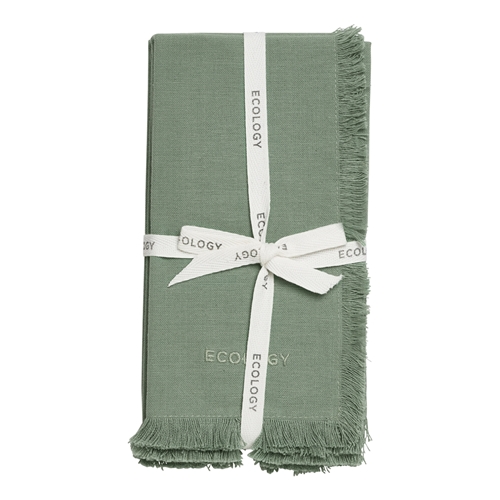 Ecology Fray Set of 4 Napkins Midday 