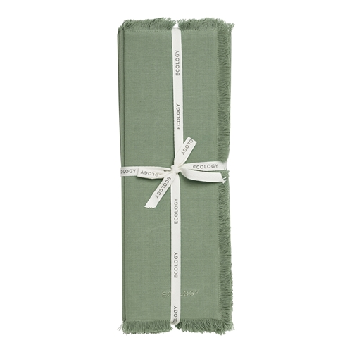 Ecology Fray Set of 4 Placemats Midday