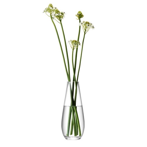 LSA Flower Tall Stem 29cm Vase