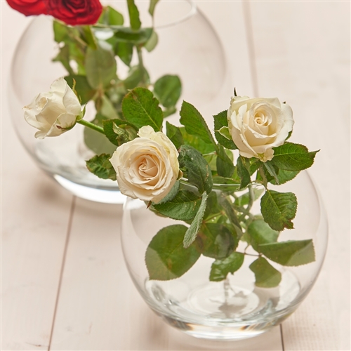 Pasabahce Botanica Rose Bowl 19cm