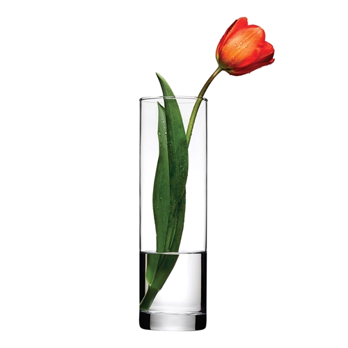 Ваза pasabahce botanica