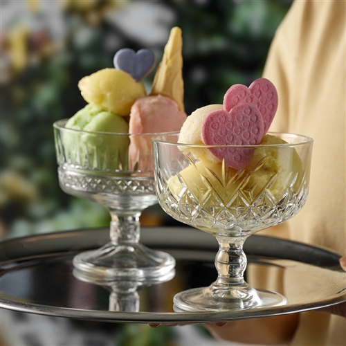 Timeless S2 Ice Cream Cup