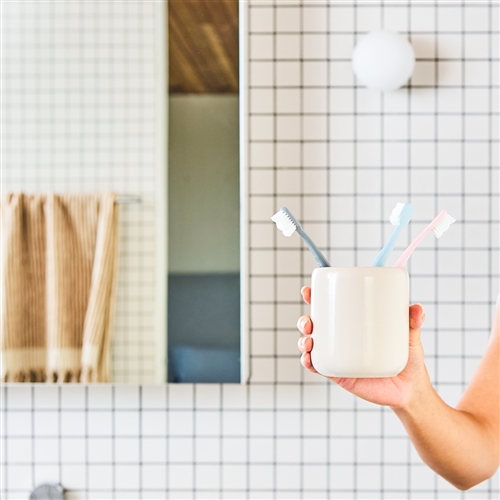 Hamilton Tumbler Blush