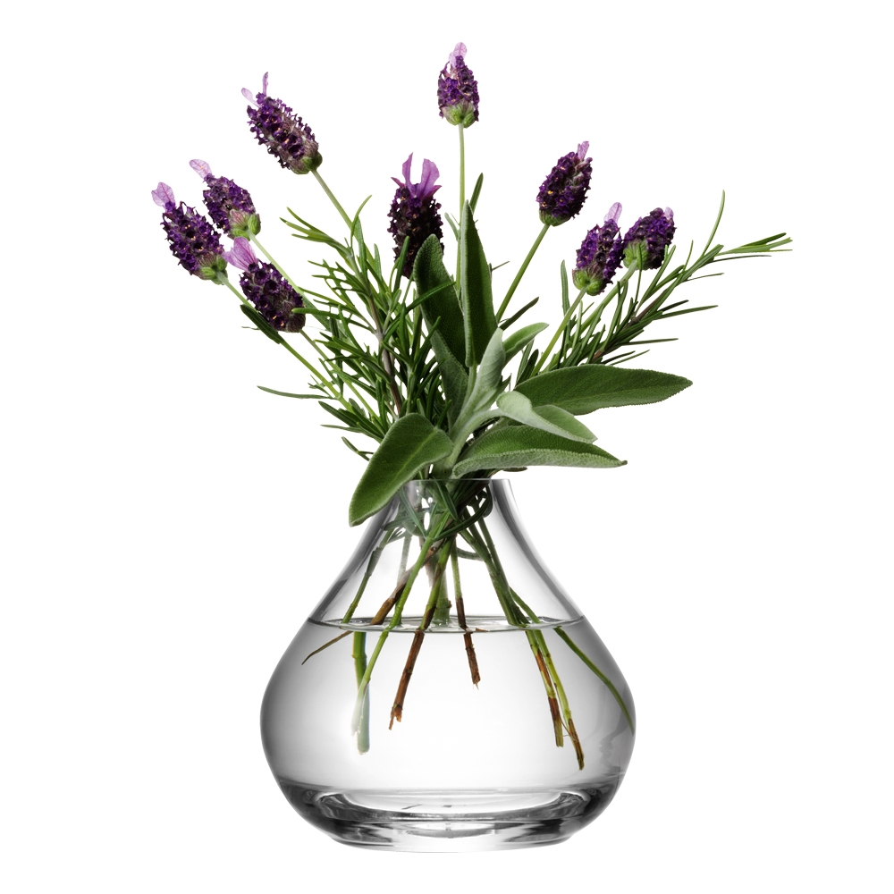 LSA657 LSA Flower Sprig Vase 11cm CWM Homewares